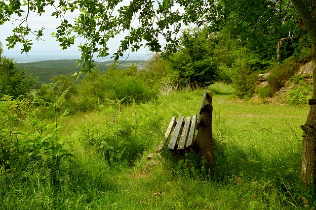 真正的贏家 真正的贏家