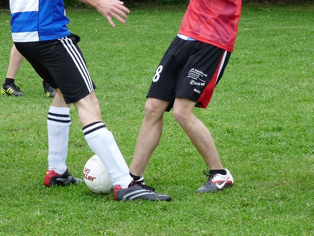 各个国家和 各个国家和