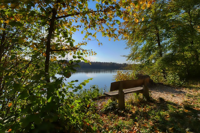 成功逆转局 成功逆转局