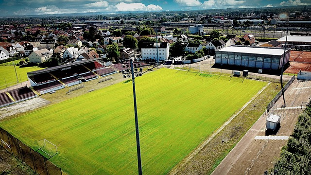 失去大量新 失去大量新